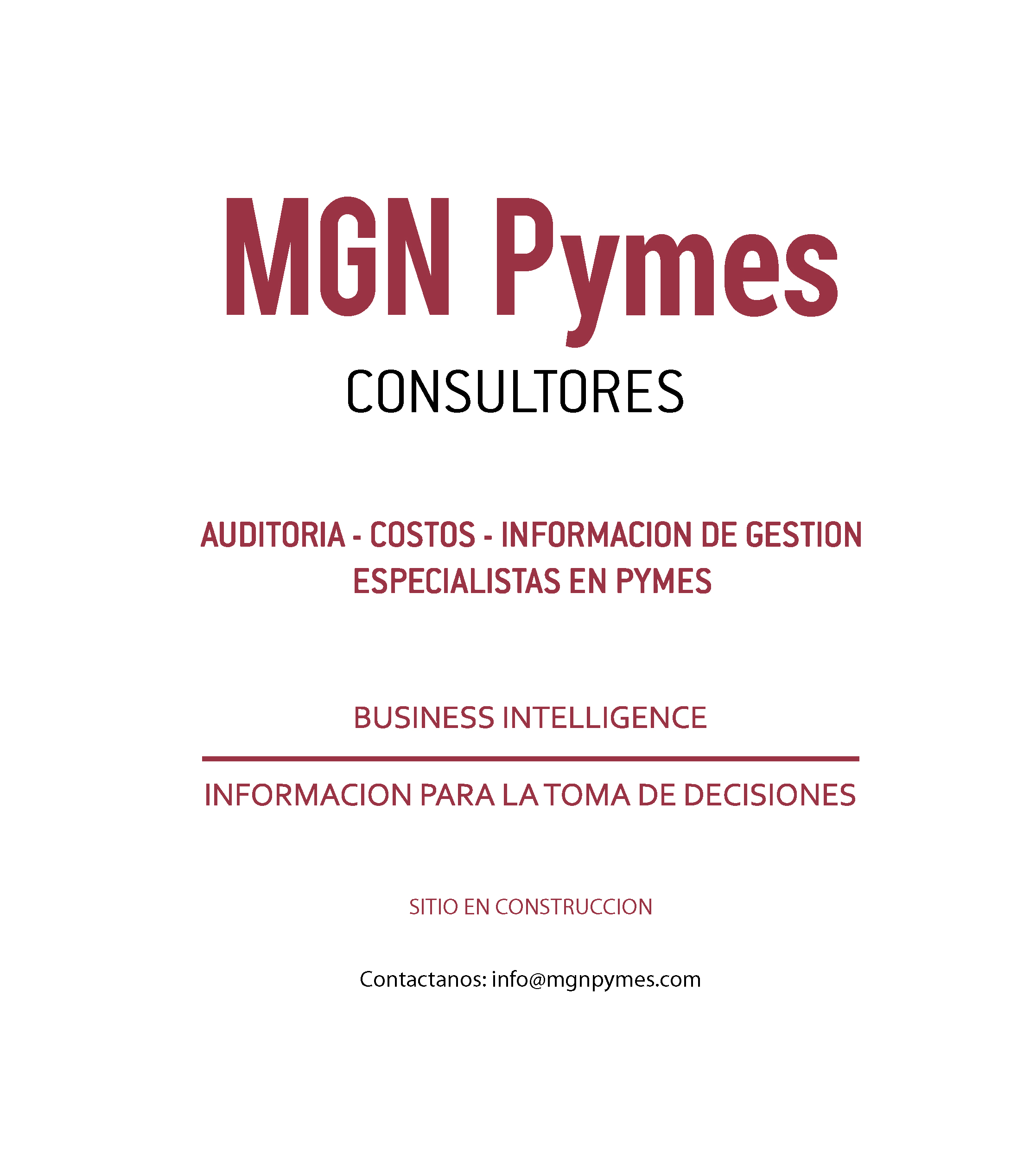 mgn pymes consultores